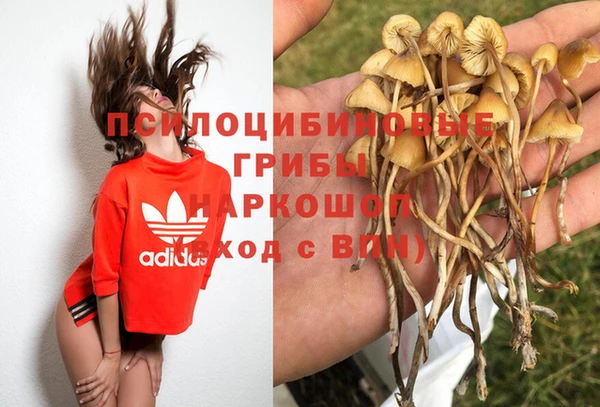 винт Богданович