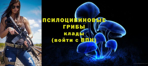 винт Богданович