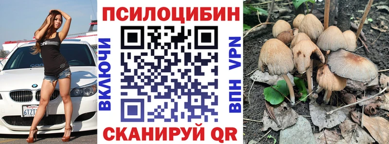 Псилоцибиновые грибы Magic Shrooms  Купить закладки  Свирск 